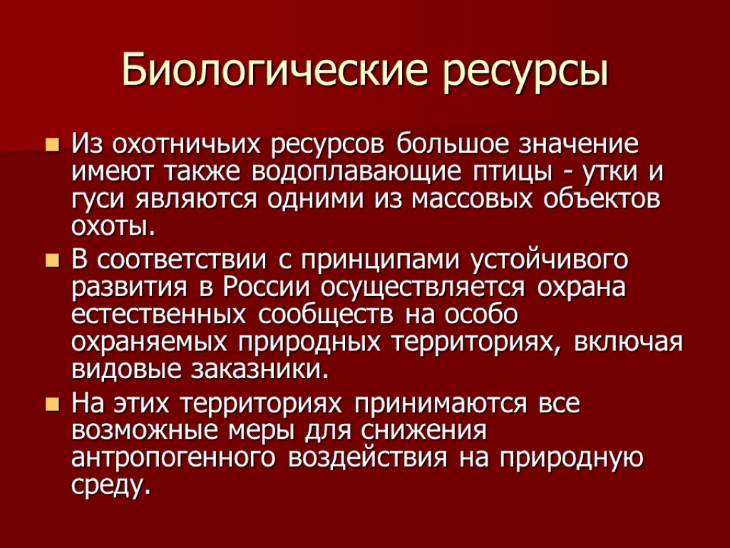 Биологические ресурсы Из охотничьих ресурсов большое значение имеют также водоплавающие птицы - утки и